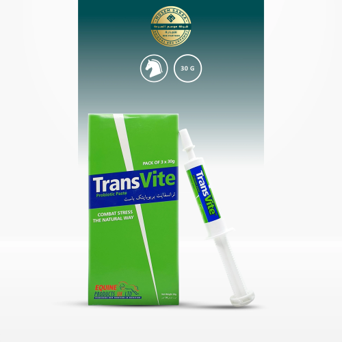 ترانسفيت | 30جرام | لصحة الجهاز الهضمي من شركة Equ...