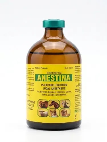 Anstina | 100 ml | Veterinary sedative and pain re...
