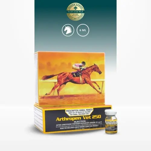أرثروبين | ٦مل | لعلاج مفاصل الخيل من شركة Randlab