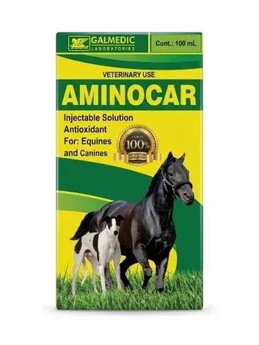 Aminocar | 100ml | Amino Acid Supplement & Energy...