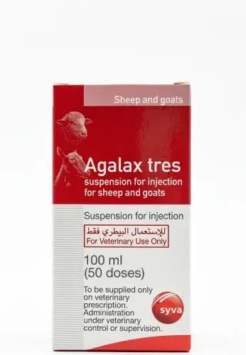 Agalax Tris Spanish | Abu Rumh Vaccination for She...
