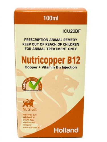 Nutricoper B12 - 100 ml - Copper and Vitamin B12 I...