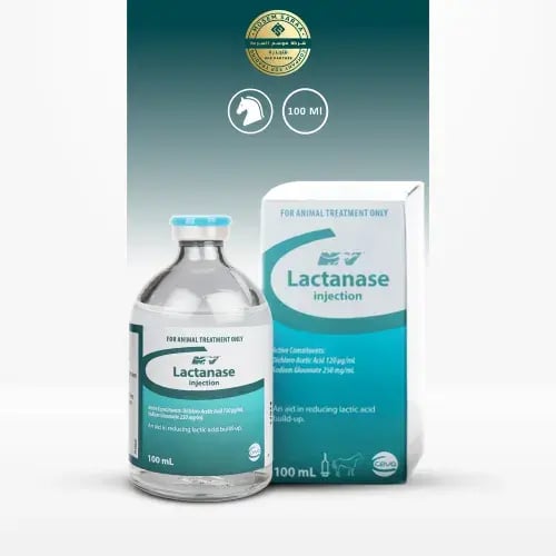 لاكتنيز لزيادة تحمل الخيول لأداء أقوى مكملات للعضل...