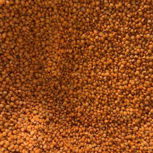 عدس تركي كيلو
