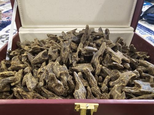 ثمن كيلو عود كلمنتان بنتلي بيور طبيعي معدل فاخر