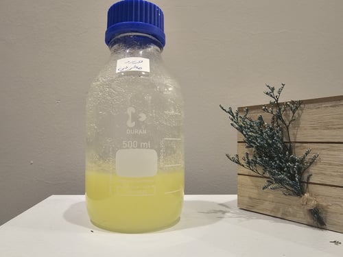 خمس تولات دهن ورد مغربي