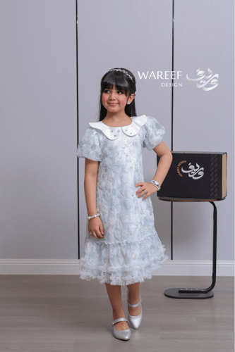 فستان بناتي أزرق سماوي ناعم بتطريز وردي وياقة لؤلؤ...