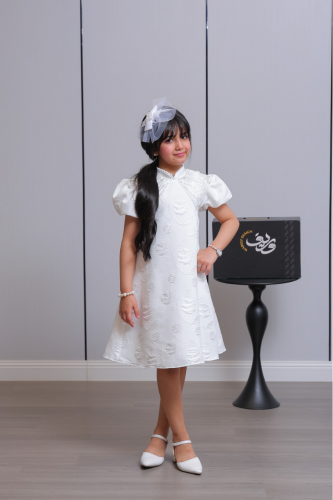 فستان بناتي بتطريز دائري وياقة مرتفعة أنيقة