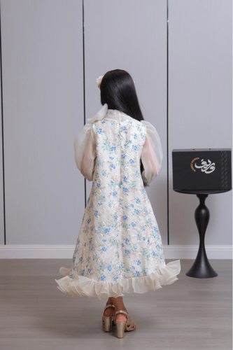 فستان بناتي بتطريز ورود ملونة وأكمام شفافة مكشكشة