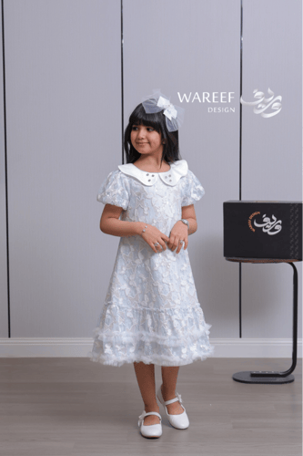 فستان بناتي أزرق ثلجي بدانتيل فراشات وياقة بيضاء م...