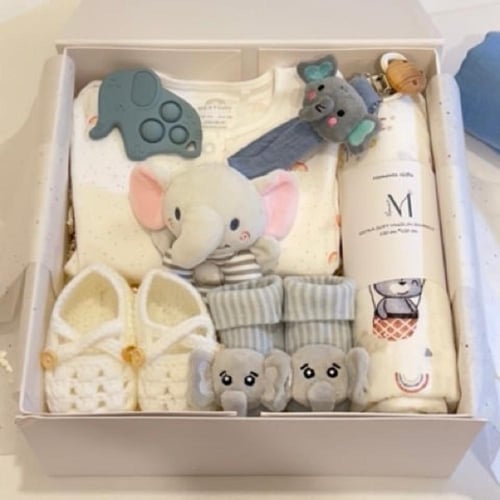 بوكس الفيل الصغير