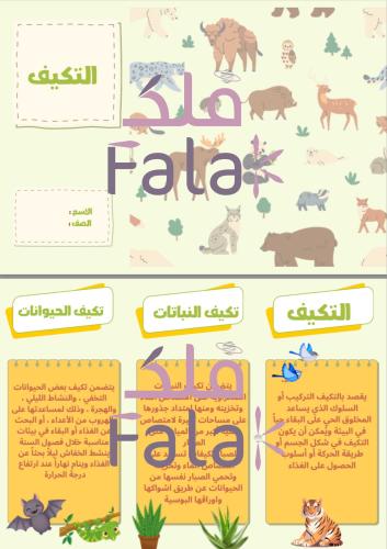 مطوية علوم (التكيف)