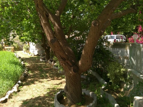 كاميرا ديجيتال لينس 4K