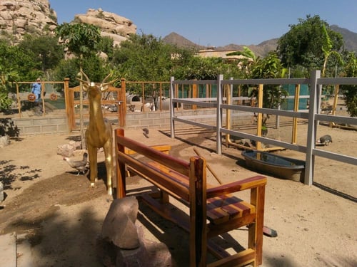 كاميرا ديجيتال لينس 4K