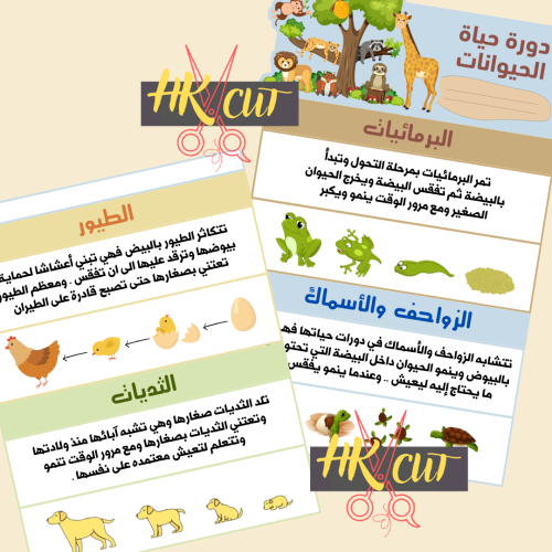 دورات حياة الحيوانات - ثالث ابتدائي ف 1