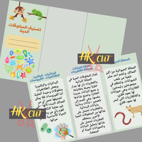 Classification of living creatures - Fifth grade p...