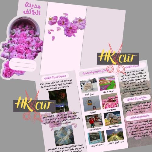 مدينة الطائف ..