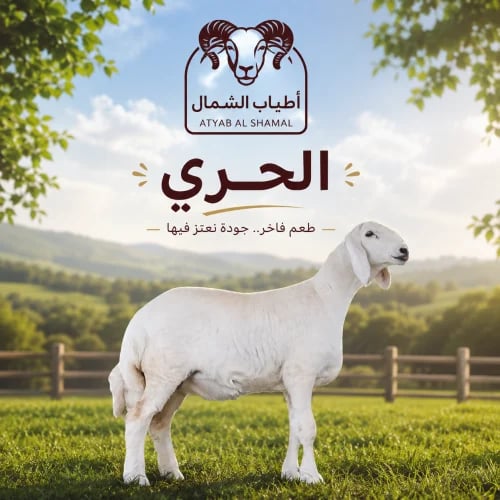 حري هرفي صغير