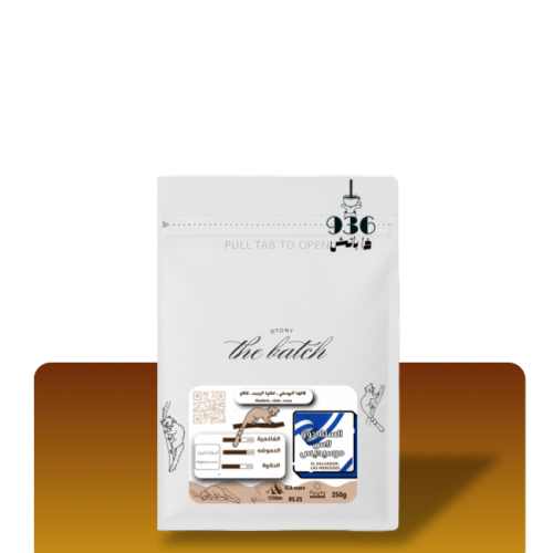 سلفادور (مرسيدس)