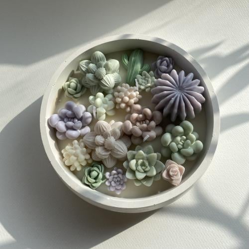 Oasis Bliss - Large Circle - شموع يدوية كبيرة دائر...