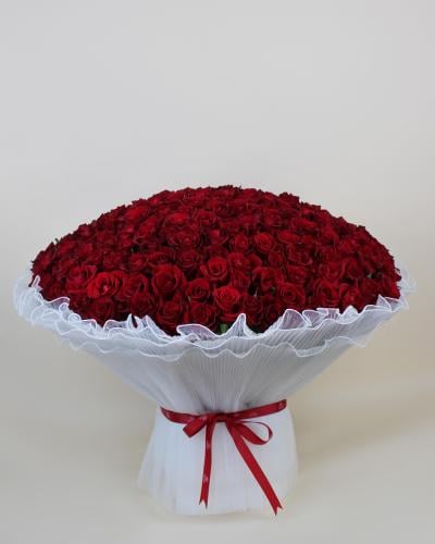 باقه روجيندا 200 ورده فرش