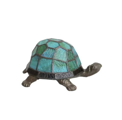 Green Turtle 🐢