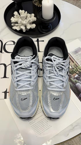AIR PEGASUS