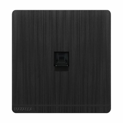 فيش MZ2 كمبيوتر