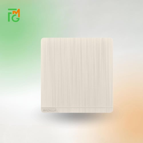 مفتاح MZ2 مفرد دركسيون