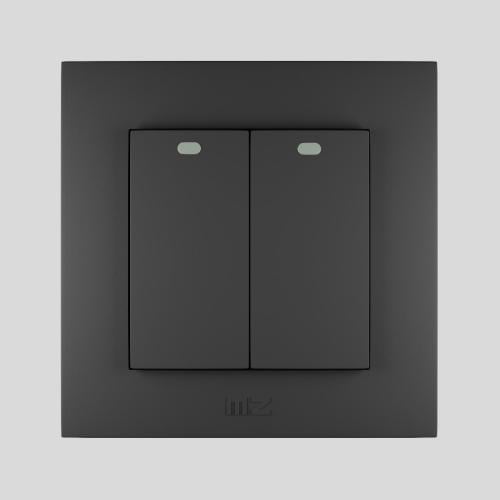 مفتاح MZ مزدوج