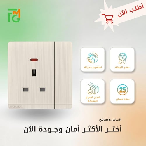 فيش MZ2 مع لمبة + مفتاح مفرد