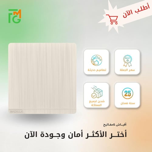 مفتاح MZ2 مفرد دركسيون