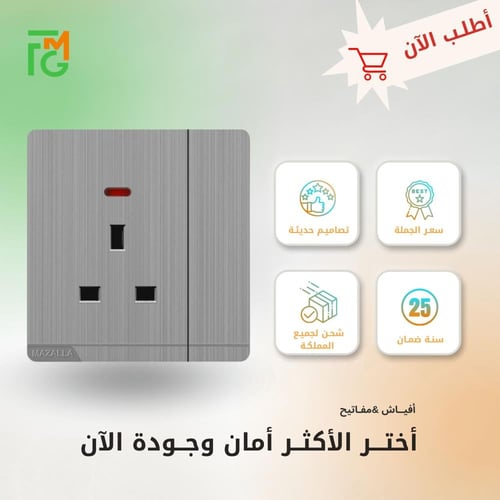 فيش MZ2 مع لمبة + مفتاح مفرد