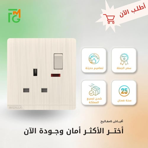 فيش MZ2 مع مفتاح ولمبة