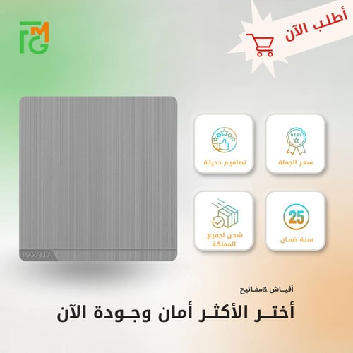 مفتاح MZ2 مفرد دركسيون