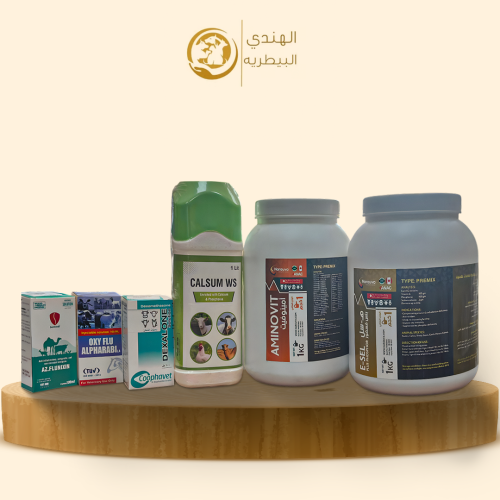 باقة التعافي و الحيوية