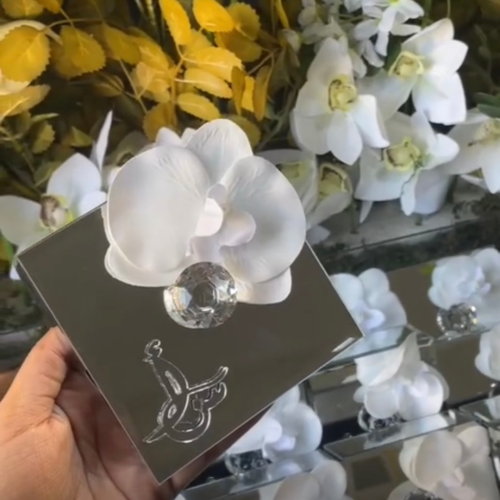 توزيعات علب ملكه عدد 12