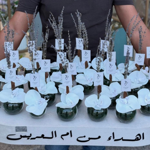 فازه قزاز مع عود خشب