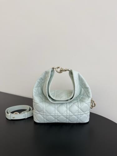 Small Dior Toujours Hobo Bag