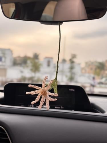 Pink Daisy flower, delicate