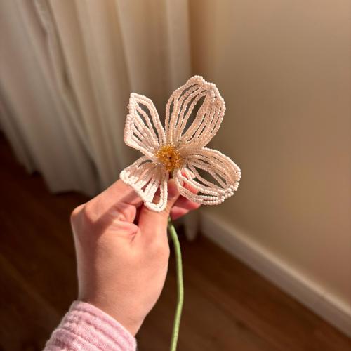The flower of the cuckoo, delicate pink