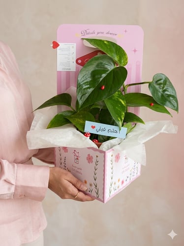 بوتس الحجم الكبير