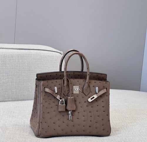 ايرميز بيركن Birkin مقاس 25cm