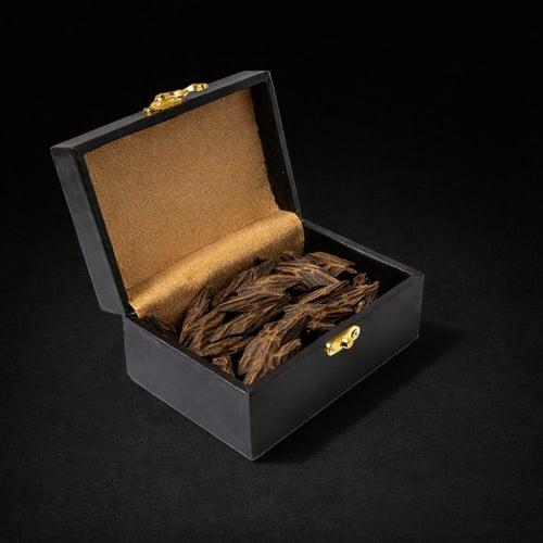 شماغ السامي احمر مع أوقية تايجر طبيعي محسن