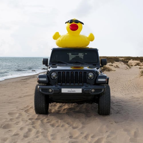 Pool Floating Duck