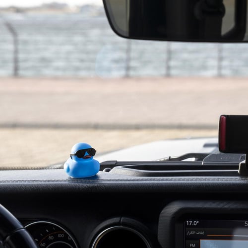 "Cool Duck " Blue