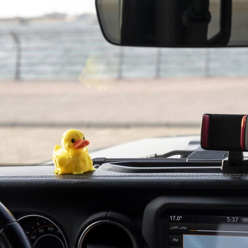 Melty Quack