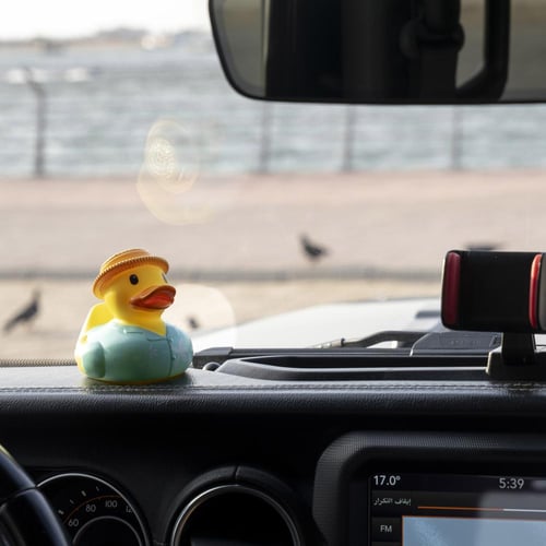 Vacation Quack