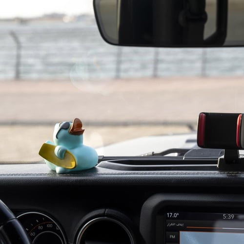 Surfer Quack