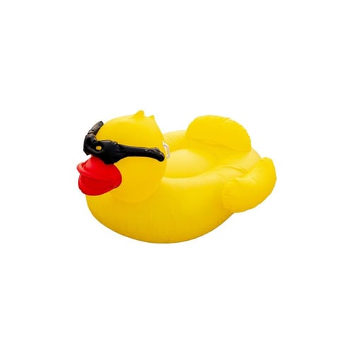 Pool Floating Duck